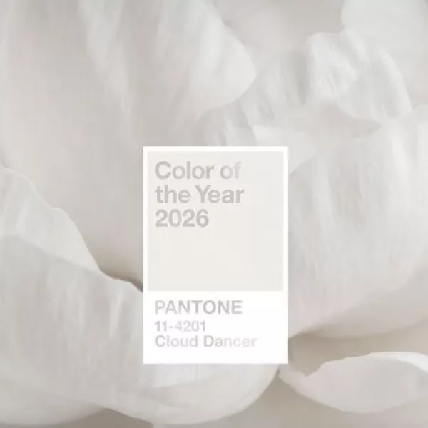 Тренды 2026: цветовые палитры и формы в уличной мебели будущего сезона